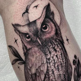 Tattoos - Owl - 142443